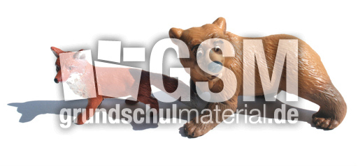Tiere-Präpositionen-17.jpg